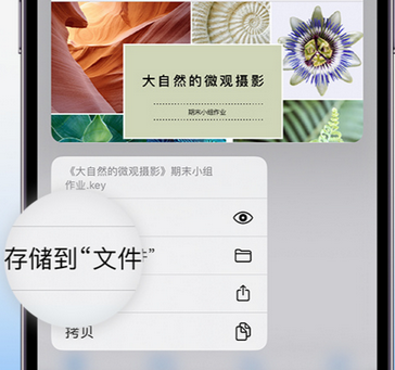金东apple维修中心分享iPhone文件应用中存储和找到下载文件