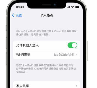 金东apple服务站点分享iPhone上个人热点丢失了怎么办 