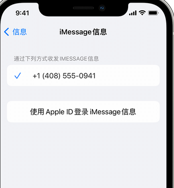 金东apple维修iPhone上无法正常发送iMessage信息