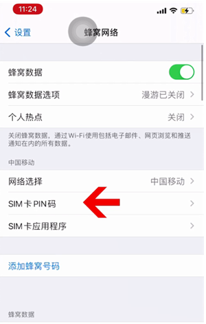 金东苹果14维修网分享如何给iPhone14的SIM卡设置密码 