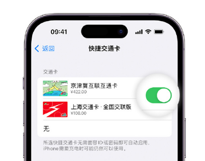 金东apple维修点分享iPhone上更换Apple Pay快捷交通卡手绘卡面 