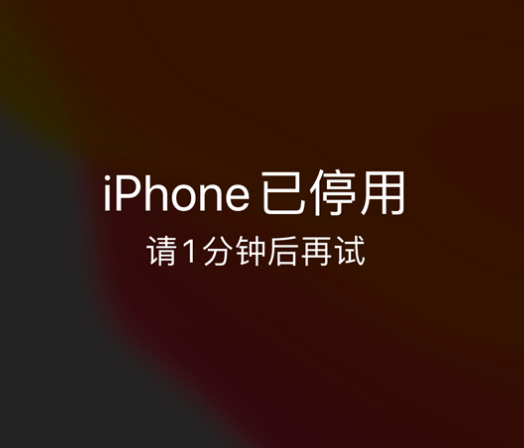 金东苹果手机维修分享:iPhone 显示“不可用”或“已停用”怎么办？还能保留数据吗？ 