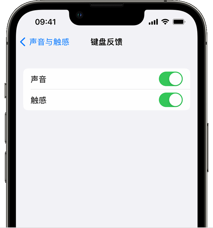 金东苹果14维修店分享如何在 iPhone 14 机型中使用触感键盘 