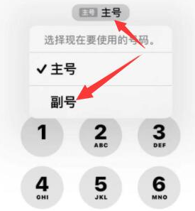 金东苹果14维修店分享iPhone 14 Pro Max使用副卡打电话的方法 