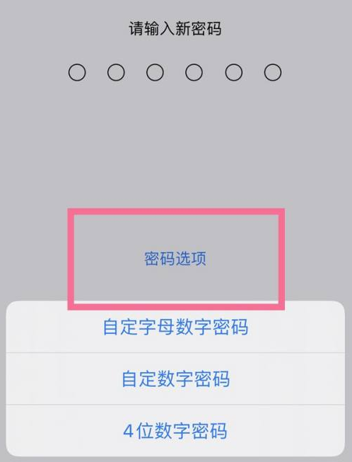 金东苹果14维修分享iPhone 14plus设置密码的方法 