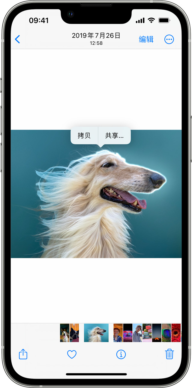 金东苹果手机服务点分享使用 iPhone 的 10 个小技巧 
