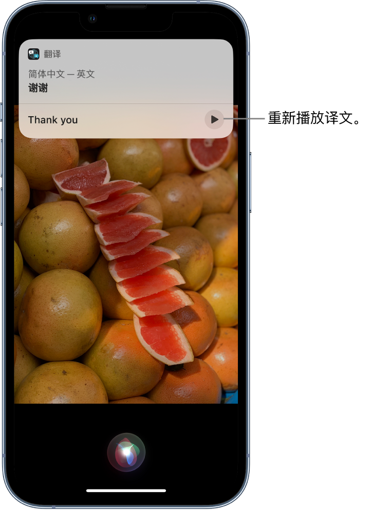 金东苹果14维修分享 iPhone 14 机型中使用 Siri：了解 Siri 能帮你做什么 