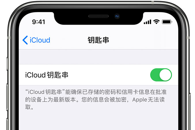 金东苹果手机维修分享在 iPhone 上开启 iCloud 钥匙串之后会储存哪些信息 