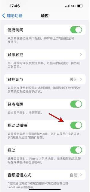 金东苹果手机维修分享iPhone手机如何设置摇一摇删除文字 