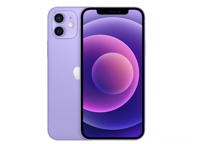 金东苹果手机维修分享现阶段要不要入手紫色版iPhone12 