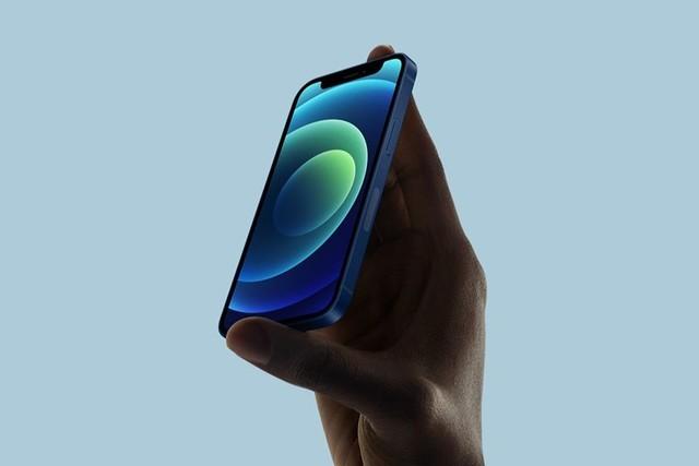 金东苹果手机维修分享iPhone 12 mini辐射很大吗 